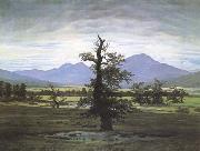 Caspar David Friedrich The Lone Tree oil painting picture wholesale